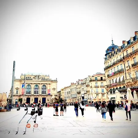 Apartamento Cosy Gare Secret De Dracula Montpellier
